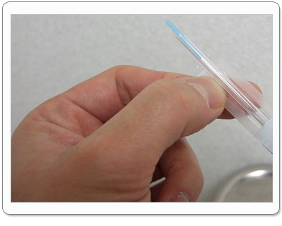 �n���̓���